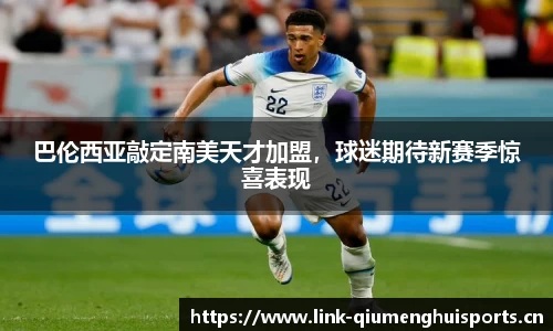 巴伦西亚敲定南美天才加盟，球迷期待新赛季惊喜表现