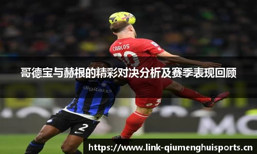哥德宝与赫根的精彩对决分析及赛季表现回顾